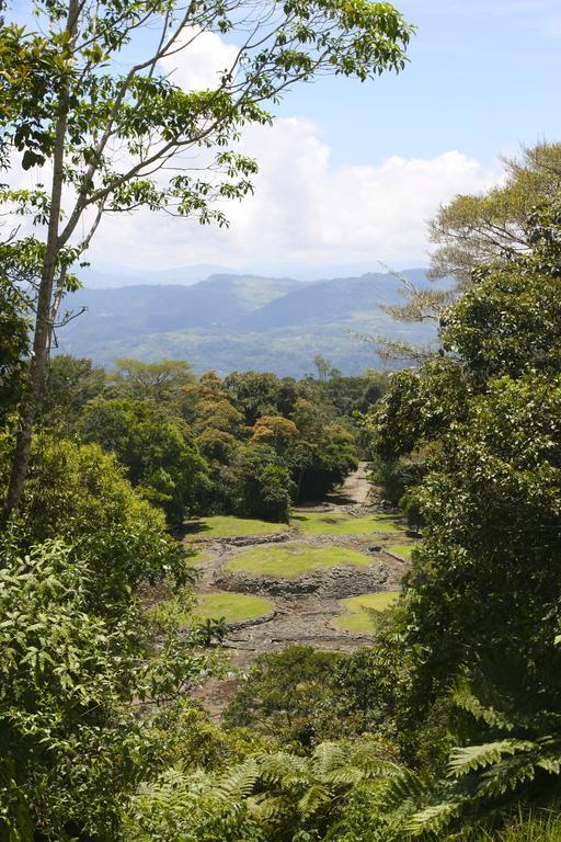 Turrialba Bed & Breakfast Bagian luar foto