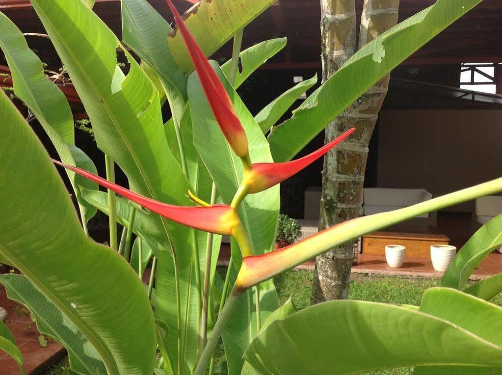 Turrialba Bed & Breakfast Bagian luar foto