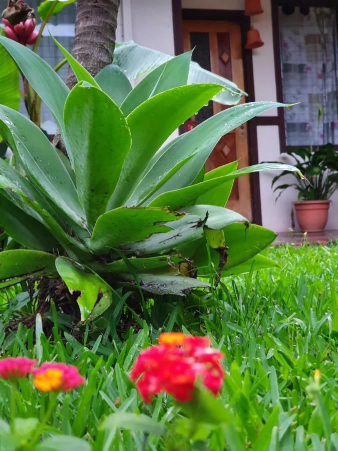 Turrialba Bed & Breakfast Bagian luar foto