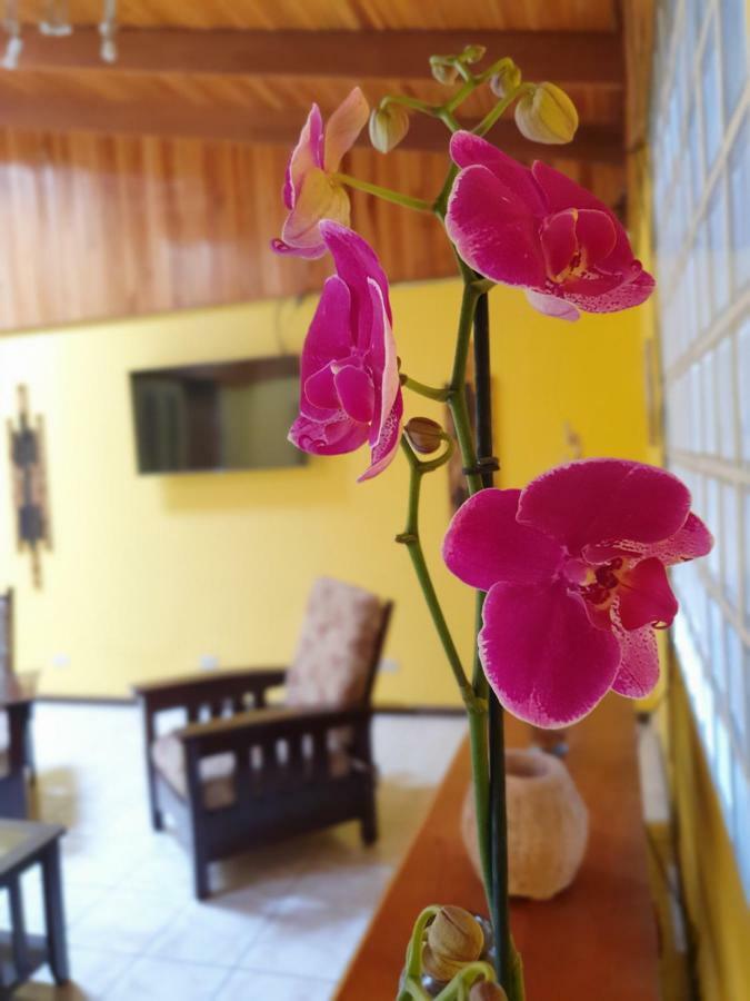 Turrialba Bed & Breakfast Bagian luar foto