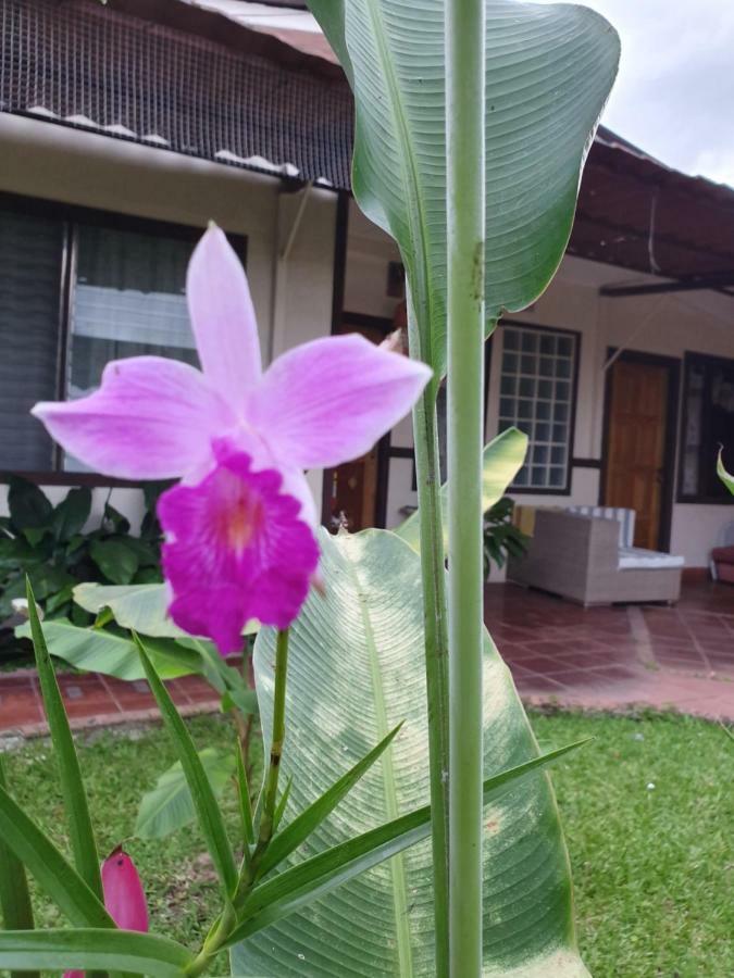 Turrialba Bed & Breakfast Bagian luar foto