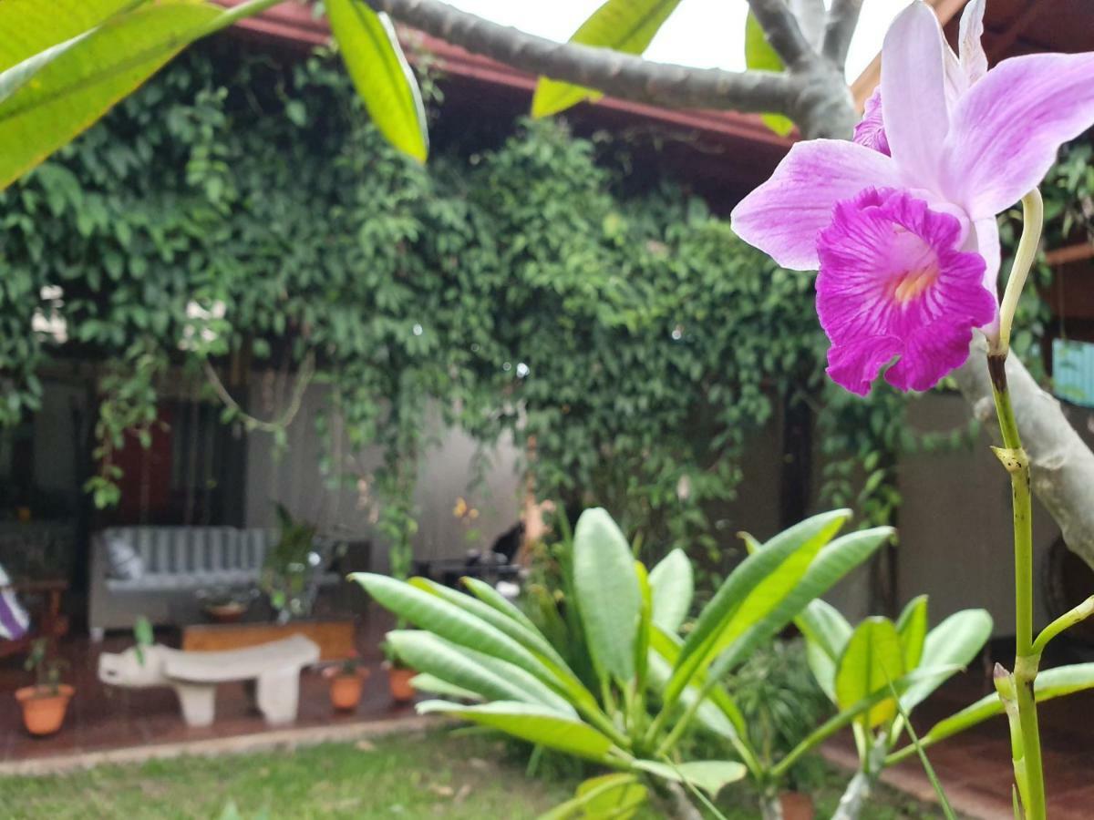 Turrialba Bed & Breakfast Bagian luar foto