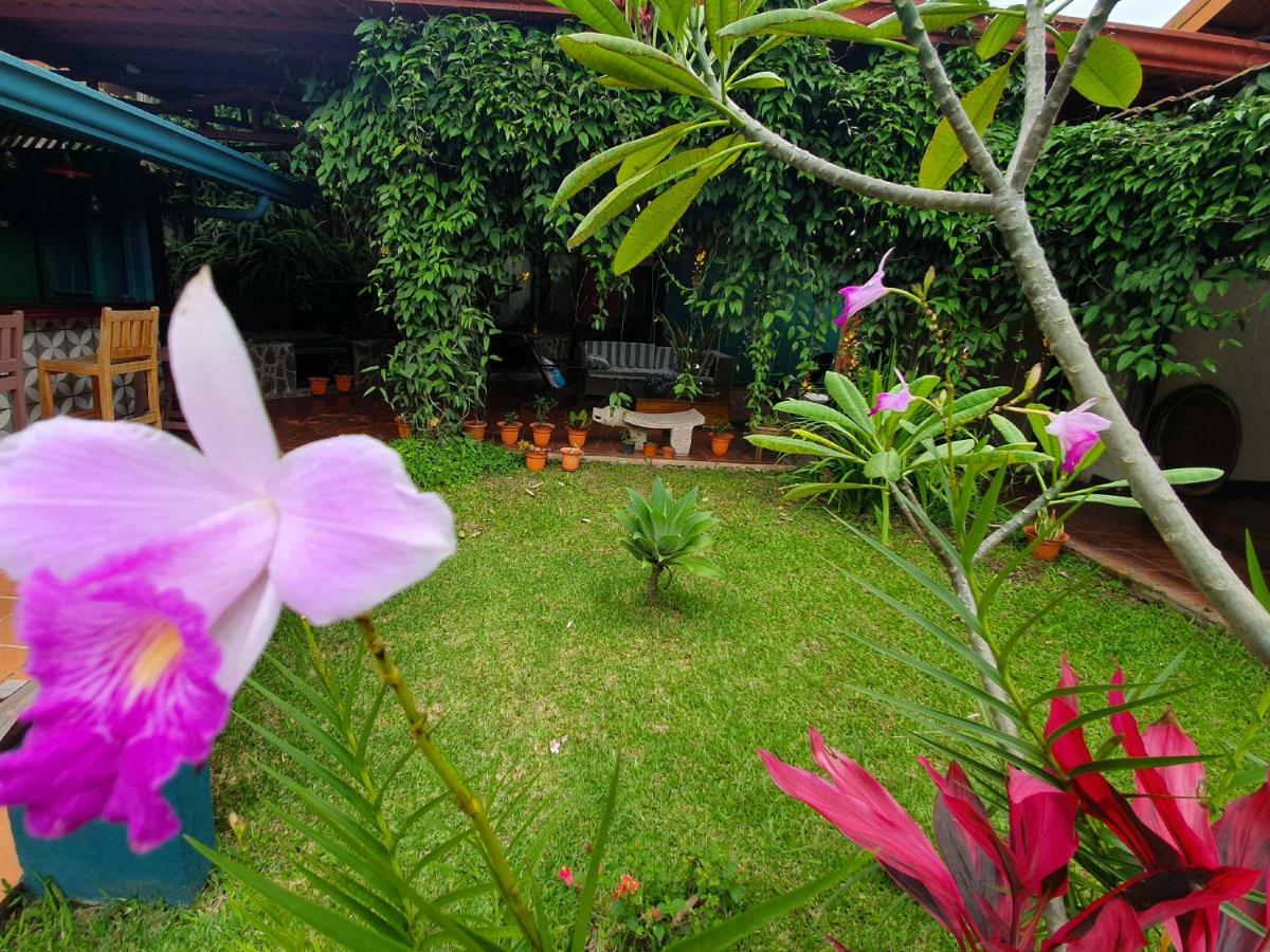 Turrialba Bed & Breakfast Bagian luar foto