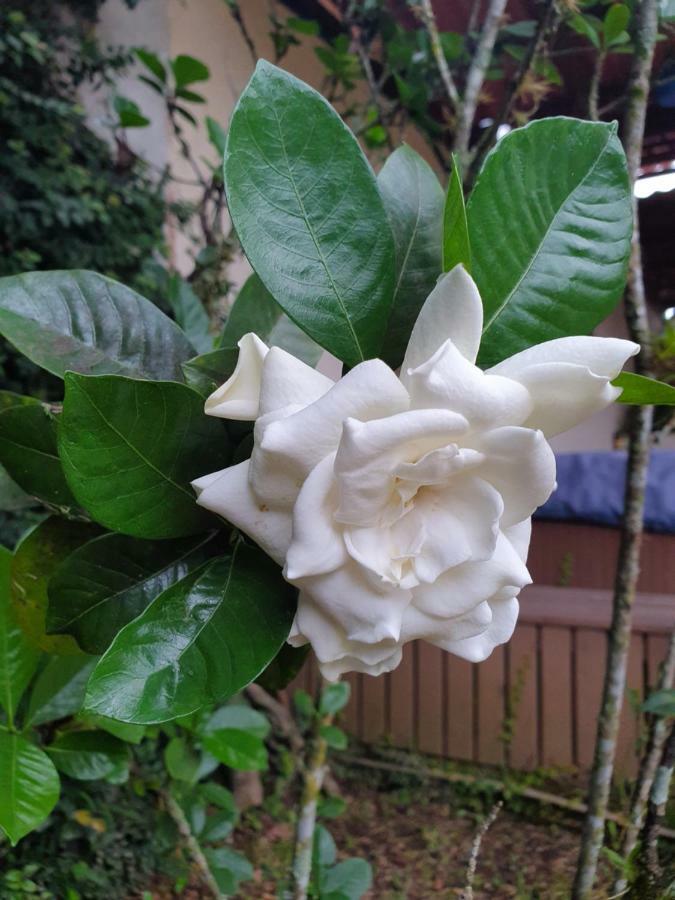 Turrialba Bed & Breakfast Bagian luar foto